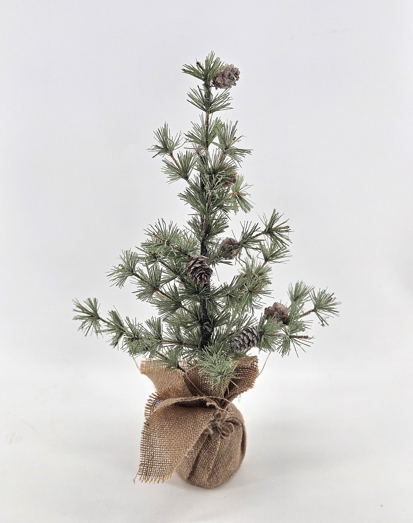 JS123 tree