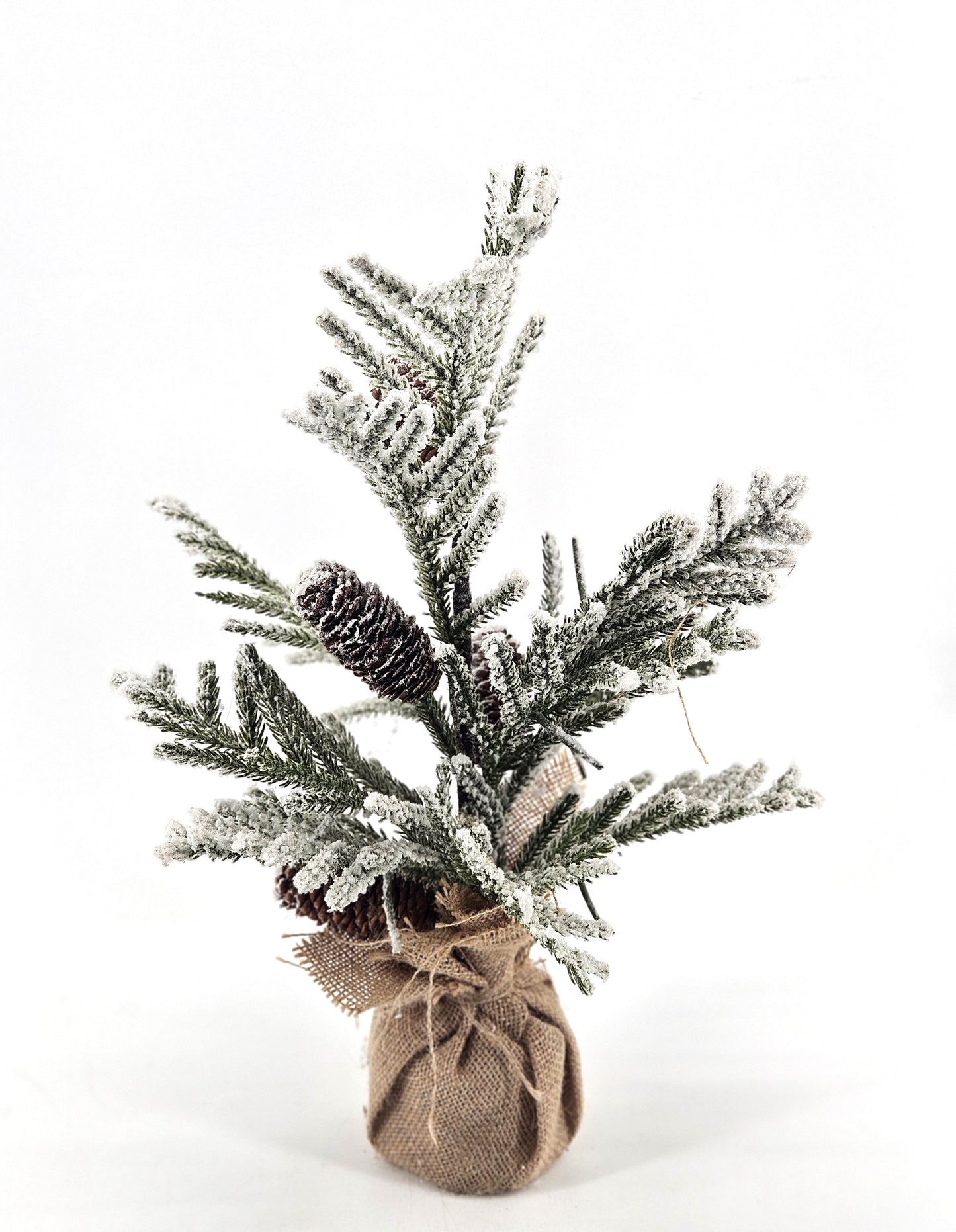 JS129 tree