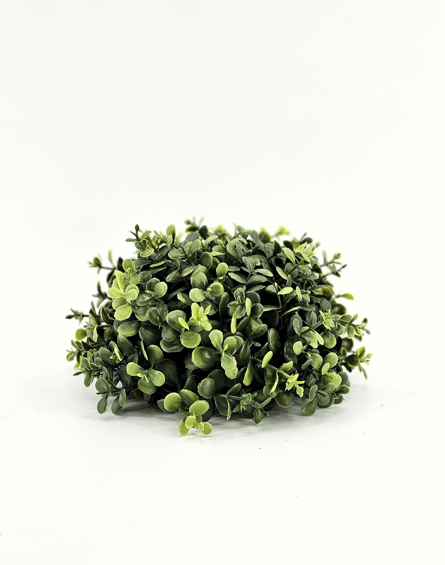 XX6007 boxwood ball