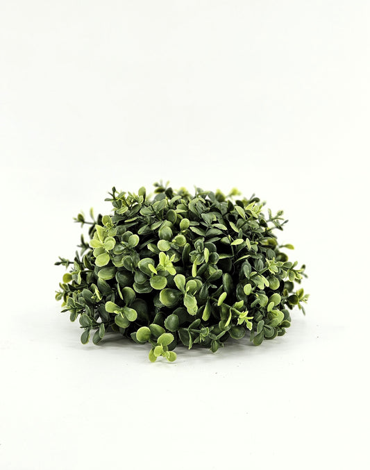 XX6007 boxwood ball