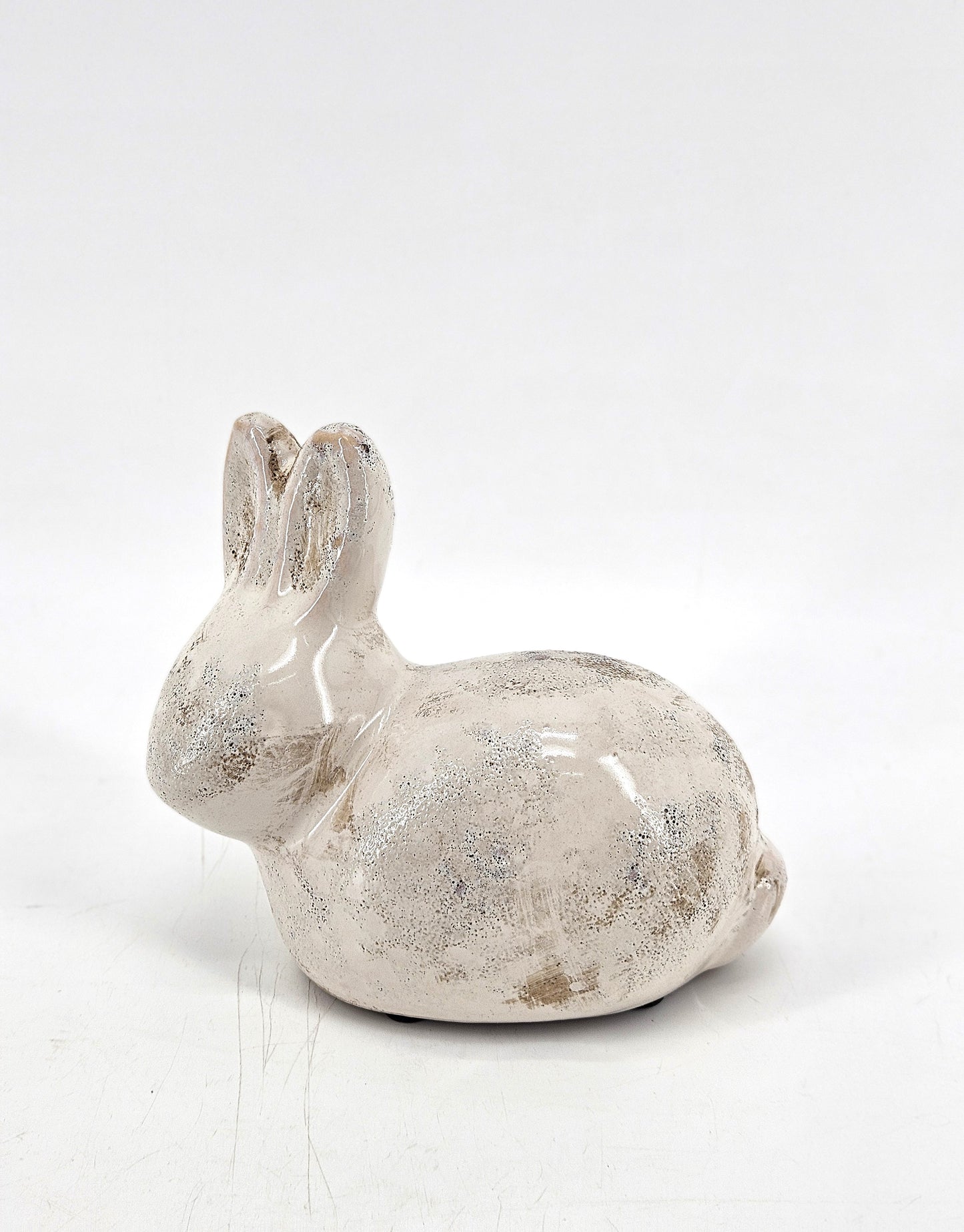 CSP460 bunny