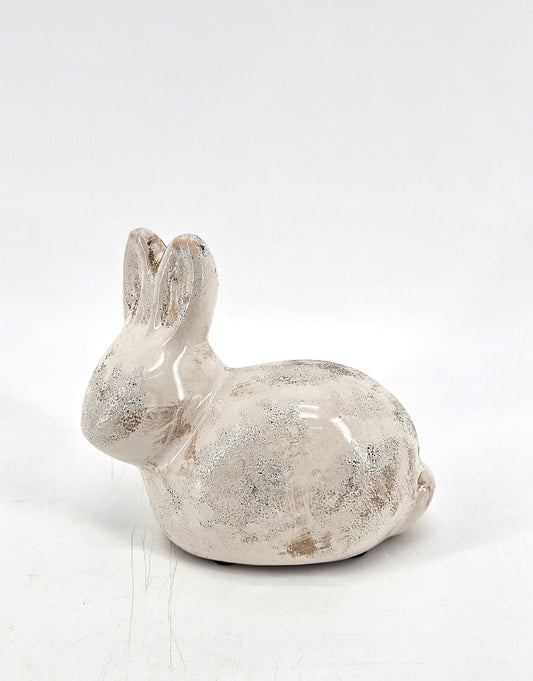 CSP460 bunny