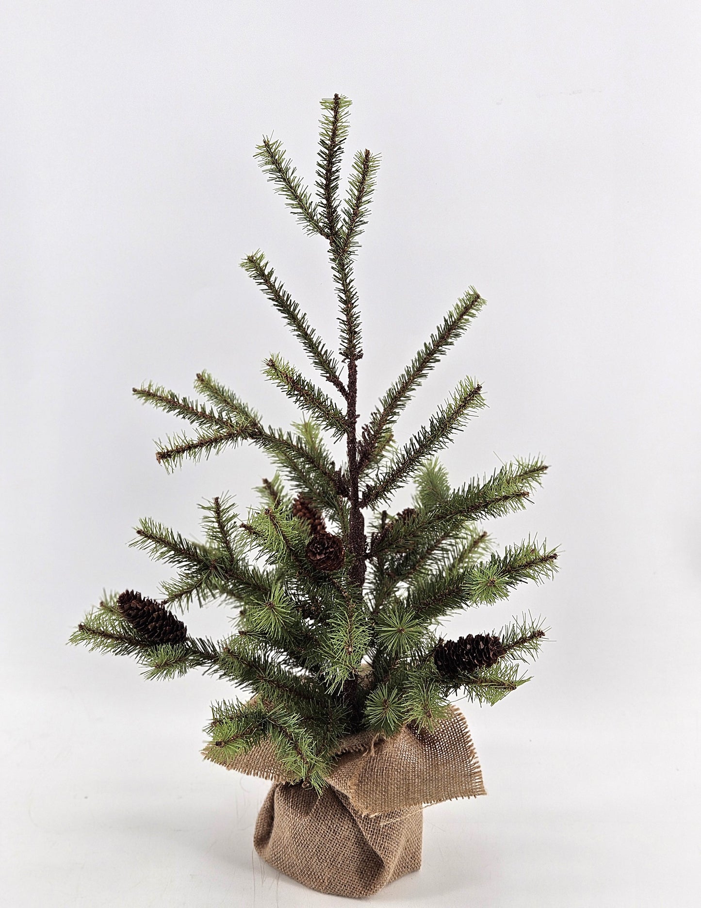 I313 tree