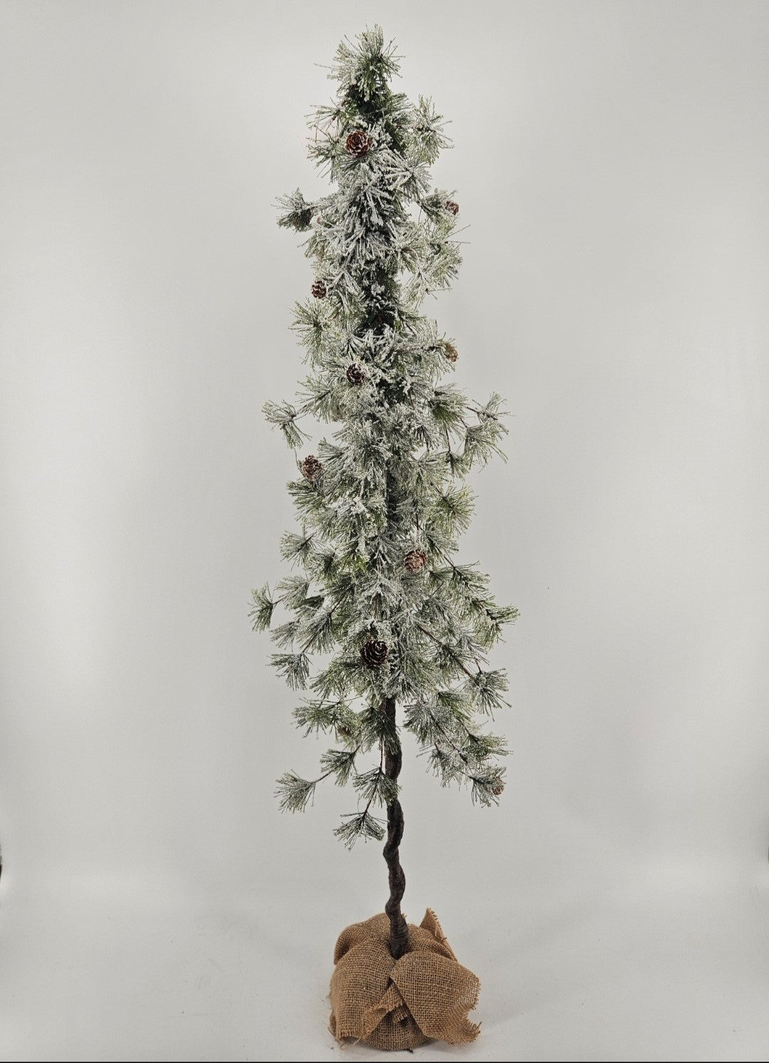 I319A tree